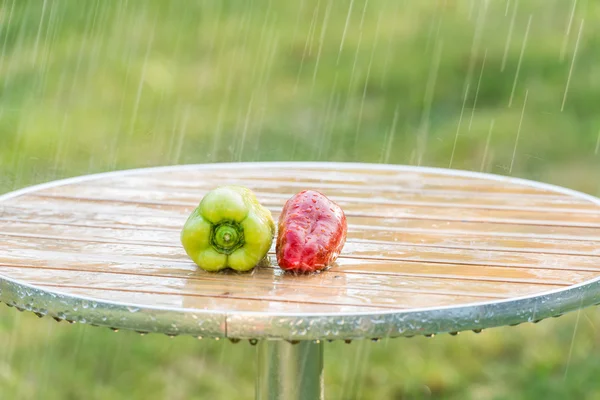 Summer rain and sweet peppers in the garden. — Stock Photo, Image