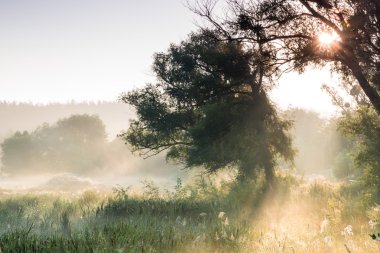 Gölde sisli şafak.
