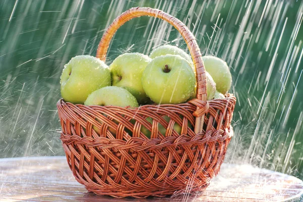 Basket Apples Table Garden Rain — Stock Photo, Image