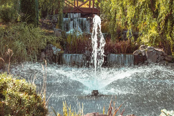Fontaine Sur Lac Dans Parc Paysager Mezhigirya Près Kiev Ukraine — Photo