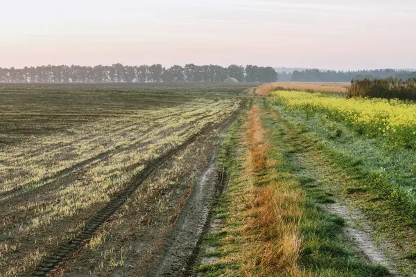 Morgendämmerung Herbstfeld Bepflügtes Feld Und Feldweg — Stockfoto