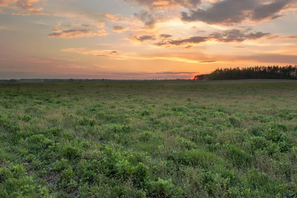 背景に緑の芝生と森のあるフィールドでの日没や日の出 — ストック写真