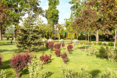 Ukrayna Kiev yakınlarındaki Mezhyhirya peyzaj parkının bir parçası..