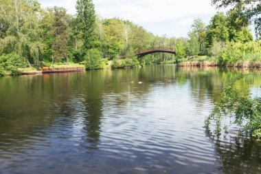 Ukrayna, Kiev yakınlarındaki Mezhyhirya peyzaj parkında bir göl parçası..