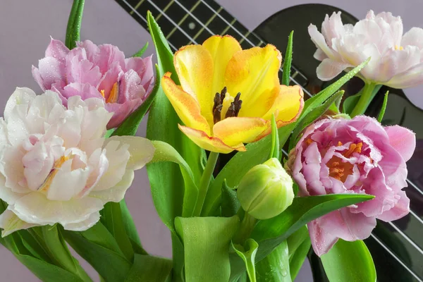 Bouquet Belles Tulipes Sur Fond Lilas Fragment Instrument Musique Ukulélé — Photo