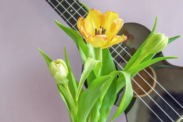 Bouquet Belles Tulipes Sur Fond Lilas Fragment Instrument Musique Ukulélé — Photo
