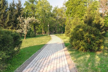 Kiev 'deki Feofaniya parkının bir parçası. Güzel bir göl ve bakımlı bir manzara..