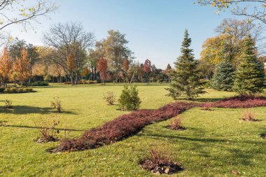 Ukrayna Kiev yakınlarındaki Mezhyhirya peyzaj parkının bir parçası..