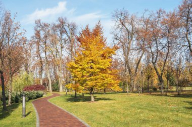 Ukrayna Kiev yakınlarındaki Mezhyhirya peyzaj parkının bir parçası..