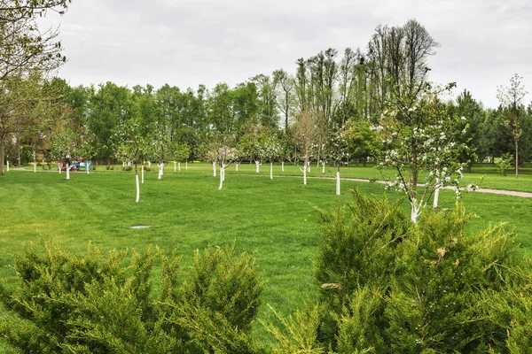 Çiçekli Bir Bahar Bahçesi Manzarası — Stok fotoğraf