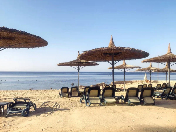 Sharm Sheikh Єгипет Берег Санні Пальмами Узбережжі Червоного Моря — стокове фото