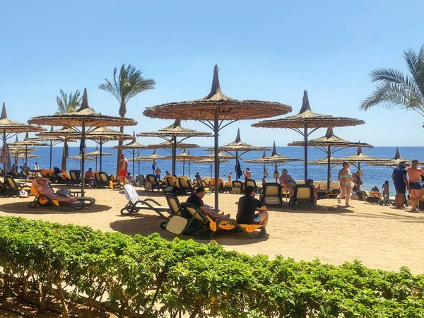 Sharm Sheikh Єгипет Вересня 2021 Сонячний Курортний Пляж Пальмами Узбережжі — стокове фото