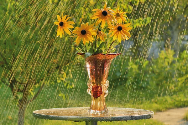 Summer rain and yellow flowers — Stock Photo, Image