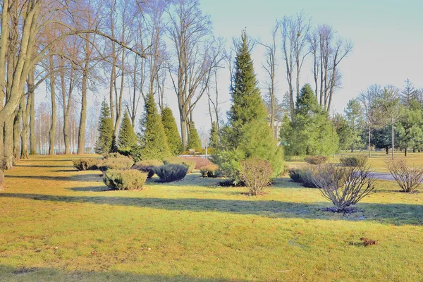 景色公園のフラグメント — ストック写真