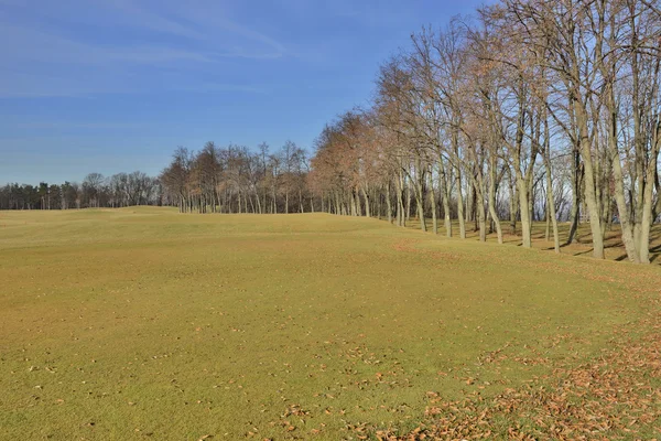 Vista sul campo da golf nel parco — Foto Stock