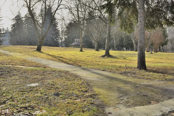 Bellissimo frammento di un parco paesaggistico. Orto botanico di Kiev . — Foto Stock