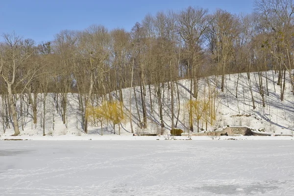 Um fragmento de parque de inverno — Fotografia de Stock