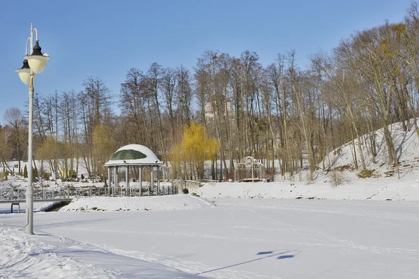 Un fragmento del parque de invierno — Foto de Stock