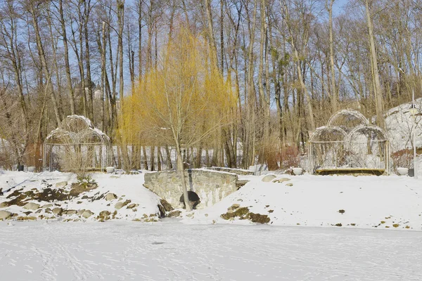 冬公園のフラグメント — ストック写真