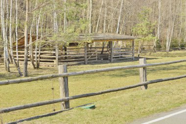 At Binme için sitesini görüntülemek