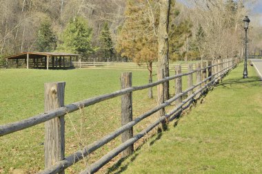 At Binme için sitesini görüntülemek