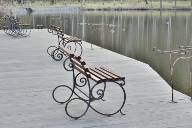 Güzel bir Parkı göle görünümünü