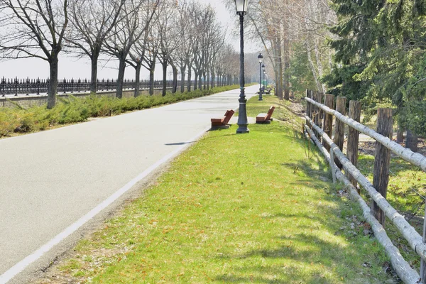 Beautiful alley in the landscape park — Stock Photo, Image