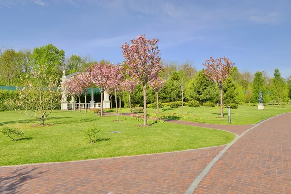 Detalj av parken våren — Stockfoto