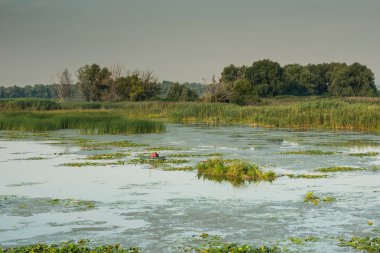 Defne görünümü Nehri