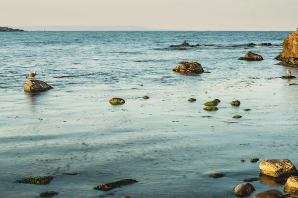 海の海岸の詳細. — ストック写真