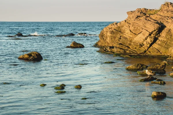 Detalle de la costa marítima . — Foto de Stock