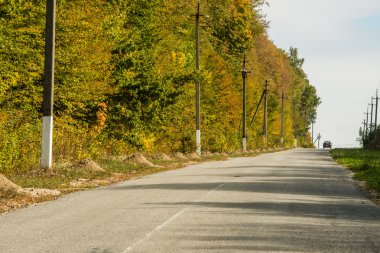 sonbahar kırsal yol.