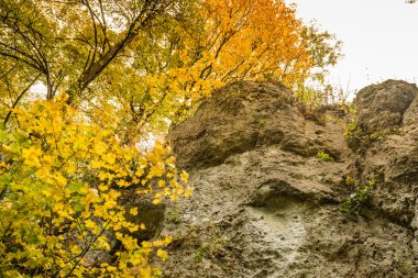 Dağlarda sonbahar manzarası.