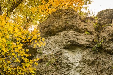 Dağlarda sonbahar manzarası.