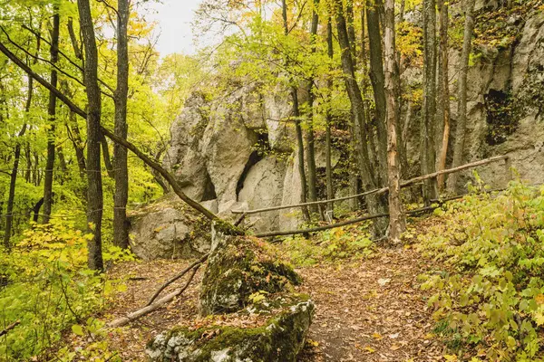 Podzimní krajina v horách. — Stock fotografie