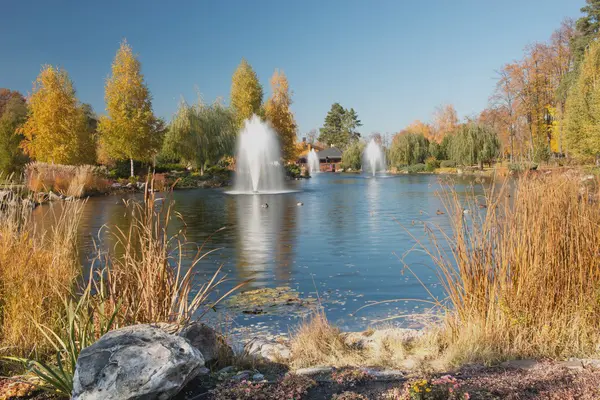Fountains on the lake. — Stock Photo, Image