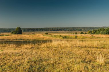 Yaz alan görünümünü.
