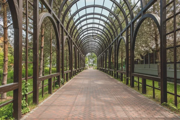 Güzel bir pergola.