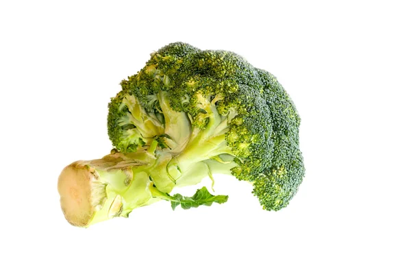 Broccoli on a white background. — Stock Photo, Image