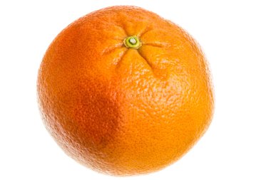 Beyaz arkaplanda greyfurt.