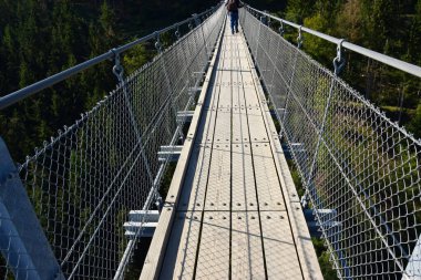 Geierlay - Batı Almanya 'da Askı Köprüsü