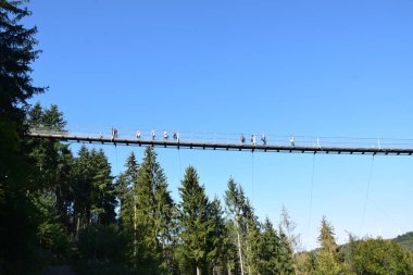 Geierlay - Batı Almanya 'da Askı Köprüsü