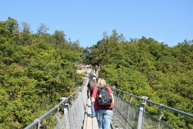 Geierlay - Batı Almanya 'da Askı Köprüsü
