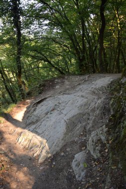 Almanya, Rhineland-Palatinate 'deki Balduinseck Kalesi