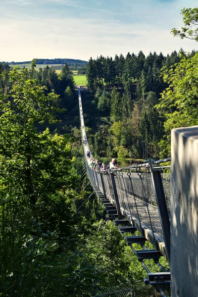 Geierlay - Batı Almanya 'da Askı Köprüsü