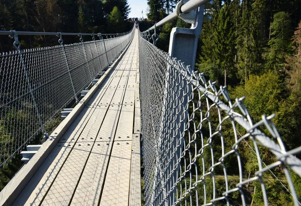 Geierlay Ponte Suspensão Oeste Alemanha — Fotografia de Stock