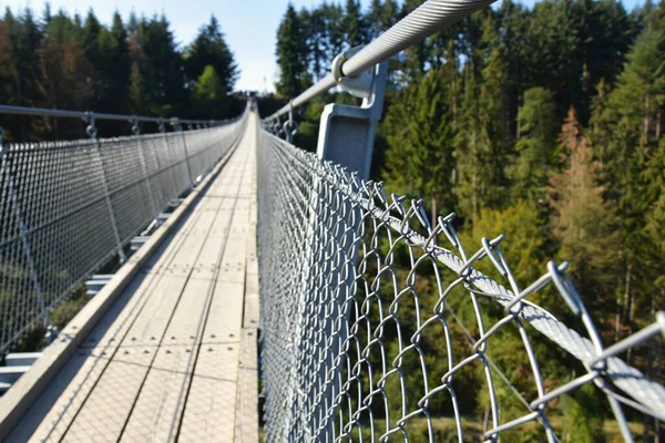 Geierlay Ponte Suspensão Oeste Alemanha — Fotografia de Stock