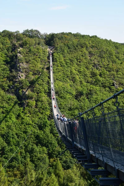 Geierlay Pont Suspendu Dans Ouest Allemagne — Photo