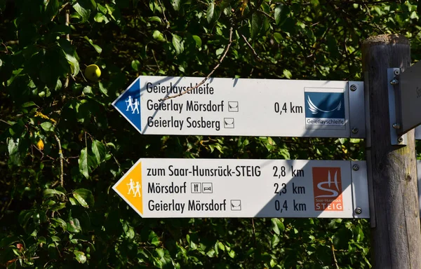 Geierlay Felfüggesztő Híd Nyugat Németországban — Stock Fotó