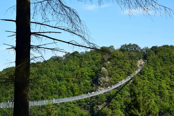 Geierlay Ponte Suspensão Oeste Alemanha — Fotografia de Stock